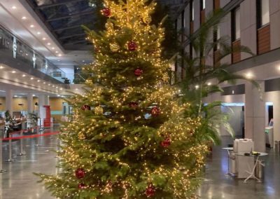 farbenkrauth stellt Weihnachtsbaum in Sparkasse am Luisenplatz in Darmstadt