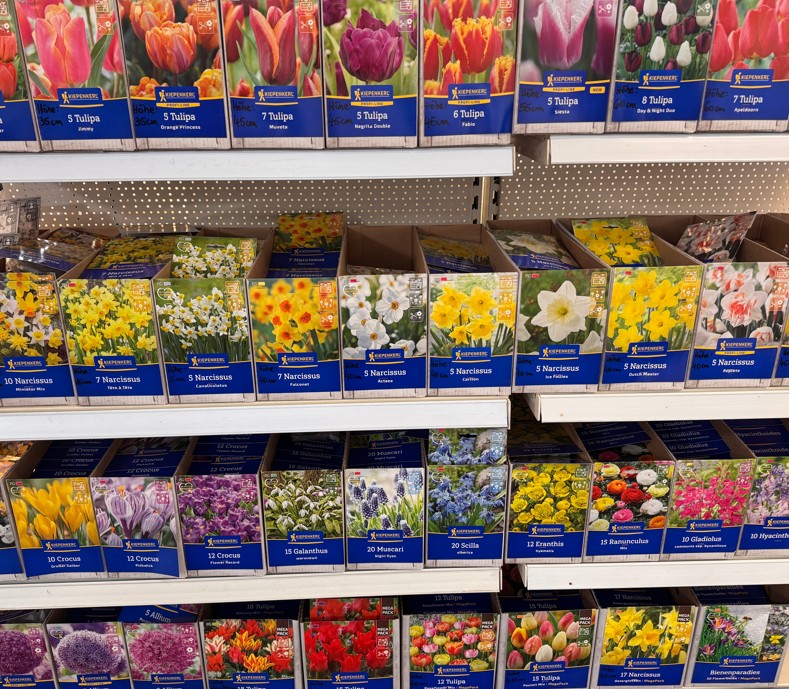 Blumenzwiebeln von Kiepenkerl! – Frisch eingetroffen