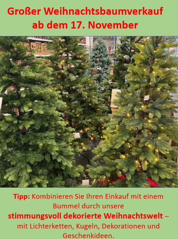 Großer Weihnachtsbaumverkauf ab dem 17. Nov. 2025