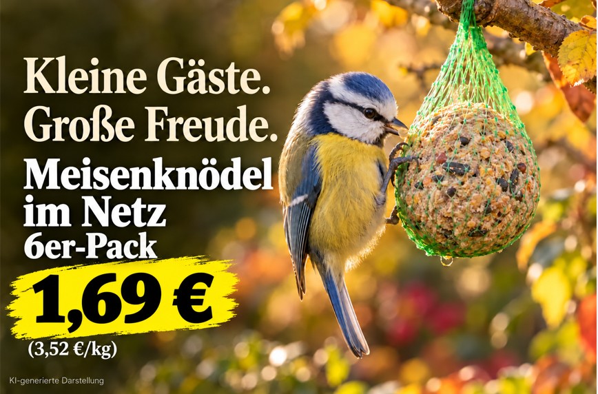 Meisenknödel im 6-er Pack